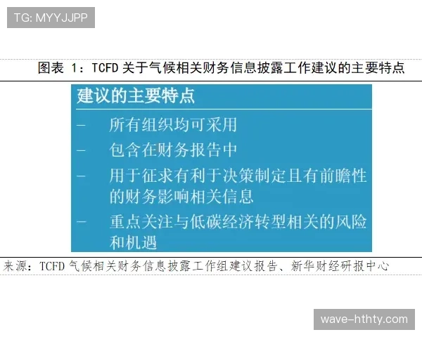 第四官员的职责与临场决策权解析